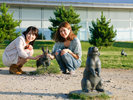 〇島根県立美術館宍道湖うさぎ