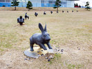 〇島根県立美術館宍道湖うさぎ