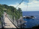 �郖�苴���苴�y�Ԃ�28���z�@�ʐ^�񋟁F�ɓ��s�ό���