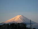 朝焼けに染まる富士山