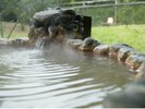 【客室露天風呂】