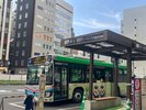 羽田空港行きバスもホテルから徒歩1分です