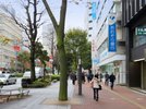 銀行が多く並んだ通りが目印です