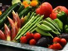 夏野菜