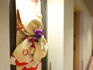 �q���t���A�L��