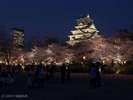 大阪城、夜のライトアップは壮観なのです。