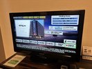 ◆テレビ◆