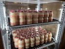 ◆湯上り乳酸菌飲料サービス◆【提供時間 5:00〜10:00】