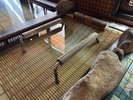 ◆男子・女子 内湯水枕◆