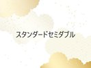 �X�^���_�[�h�Z�~�_�u��