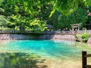 【別府弁天池】透き通ったコバルトブルーが特徴の映えスポット!美味しい湧き水に、釣り堀体験もできます♪