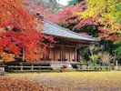 【国宝】富貴寺大堂★車で約45分「宇治平等院鳳凰堂」「平泉中尊寺金色堂」と並ぶ日本三阿弥陀堂