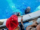 水族館「うみたまご」★お車で約20分