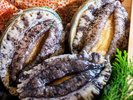黒鮑料理を提供します