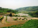 内成棚田