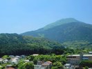 和洋スタンダードからの眺望(新緑の時期・山側のお部屋)