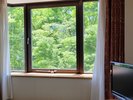 和洋スタンダードからの眺望(新緑の時期・山側のお部屋)