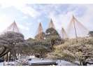 【兼六園】 雪吊りの風景♪金沢の冬の風物詩です☆彡「写真提供:金沢市」
