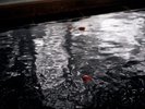 りんご風呂