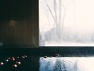 りんご風呂