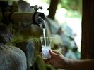 源泉近くの飲泉所