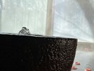 源泉かけ流しの美肌の湯