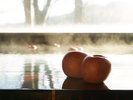 初恋りんご