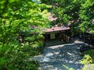 緑に包まれた中棚荘
