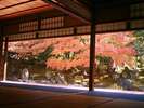 秀吉の妻 北政所ねねの寺
