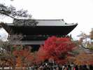 南禅寺山門と紅葉