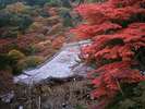 善峯寺の紅葉