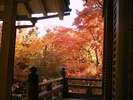 嵐山 宝厳院の紅葉