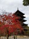 仁和寺