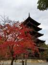 仁和寺