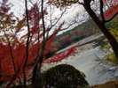 龍安寺