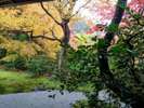 瑠璃光院