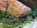 瑠璃光院