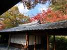建仁寺