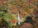 「那須第一の滝」と称された名勝。新緑や紅葉など、季節ごとに異なる絶景が広がります。