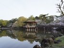 浮御堂(春)