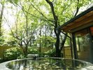 さくらの湯【貸切露天】7〜8人入れる広々岩露天
