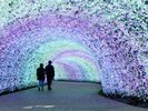 2025-2026イルミネーション「波」トンネル
