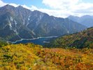 【〜紅葉の見頃〜】立山黒部アルペンルートは山頂より紅葉し始め、9月中旬〜11月上旬が見ごろです♪