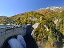 【紅葉と黒部ダム】観光放水も楽しめる