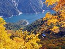 【〜紅葉の見頃〜】立山黒部アルペンルートは山頂より紅葉し始め、9月中旬〜11月上旬が見ごろです。