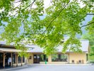 新緑のおくたま路