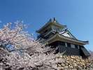 ■景観■浜松城公園は車で5分!
