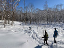 ・【スノーシュー】ふかふかした雪の上を歩く、スノーシューにチャレンジしてみませんか