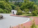 愛犬と一緒にホテル周辺をお散歩