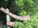 【周辺観光】天城山/「百名山」「花の百名山」にも選ばれた通年登山可能な名山
